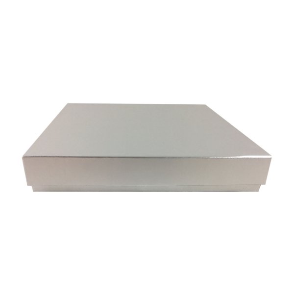 Sleek Silver Aluminum-Style Mailing Box with Detachable Top Cover