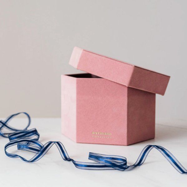 Velvet Dawn Hexa Treasure Chest in Blush Suede
